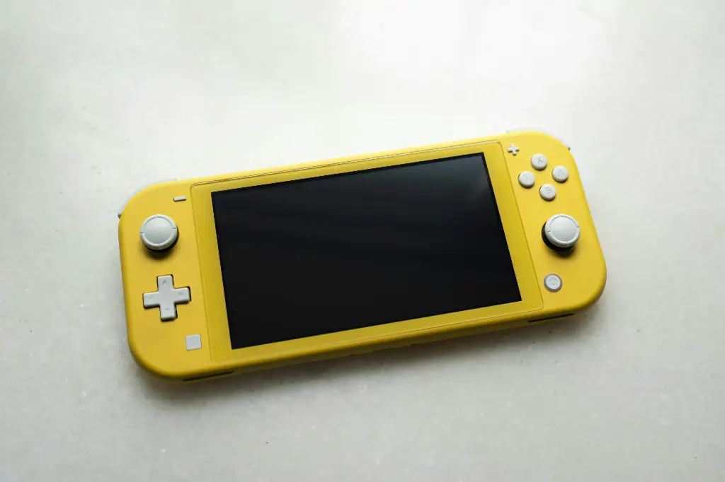 Change of display for Nintendo Switch Lite