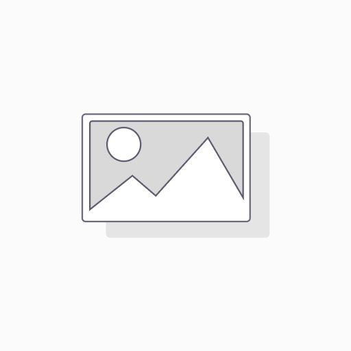 Change of display for Nintendo Switch OLED